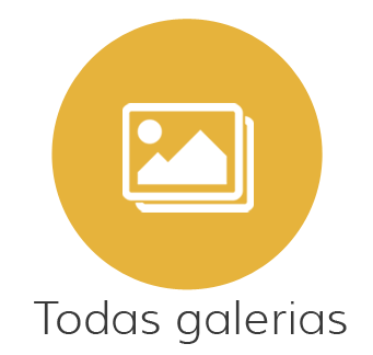 Galleries icon